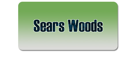 Sears Woods